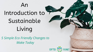 An Introduction to Sustainable Living