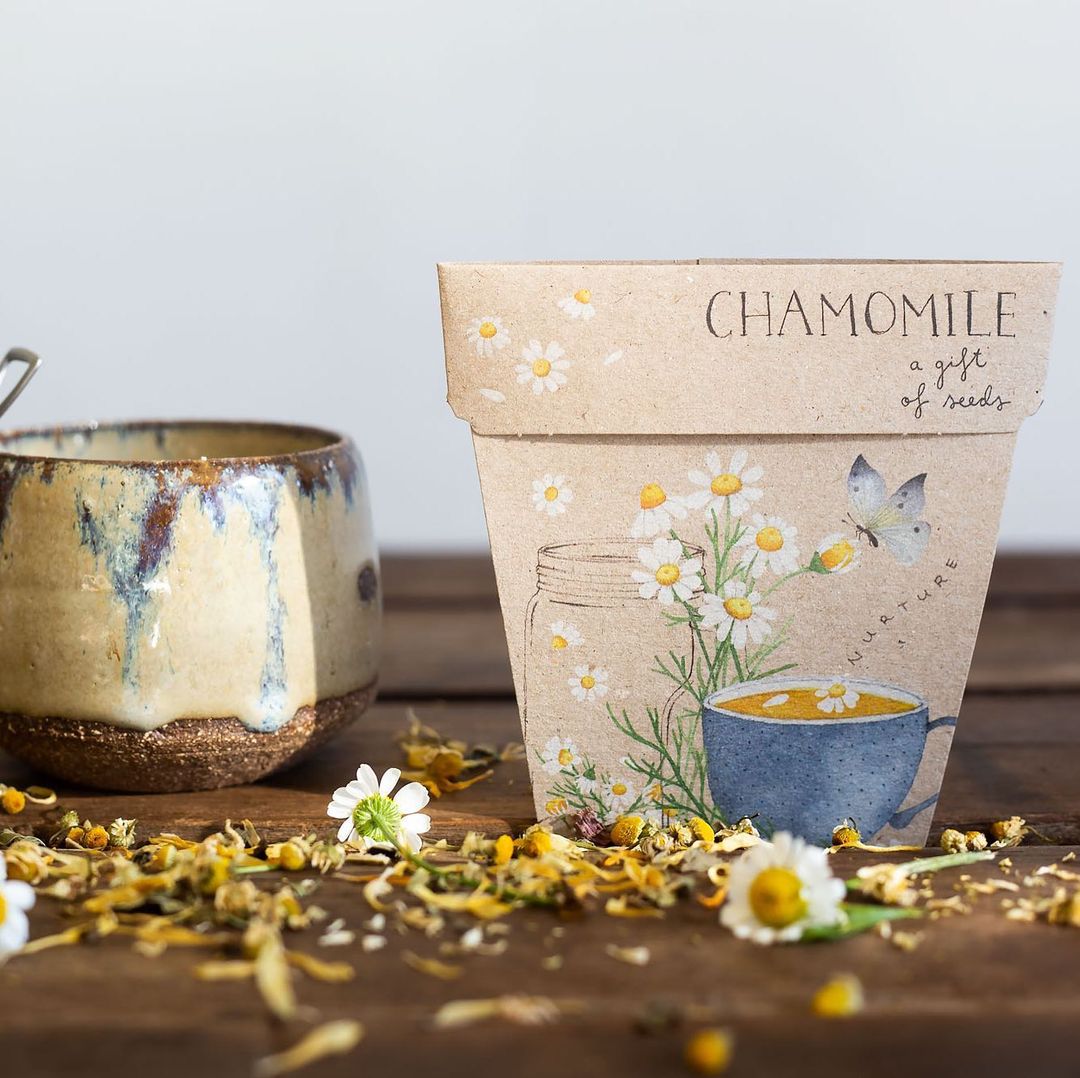 Chamomile Gift of Seeds Card