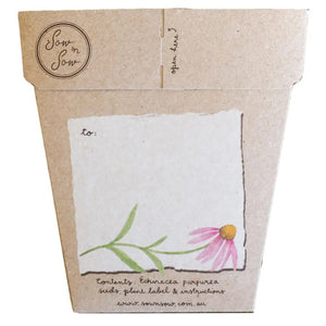 Echinacea Gift of Seeds Card