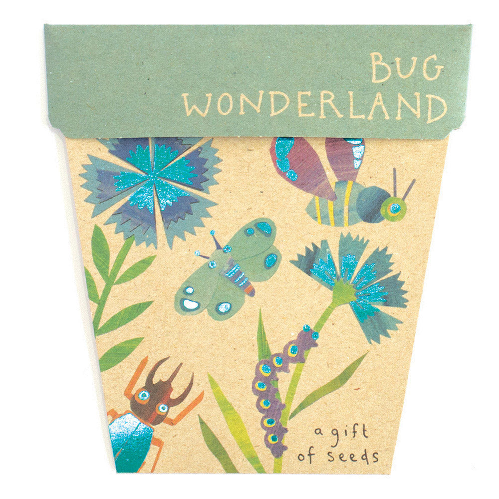 Card & Bug Wonderland Gift of Seeds